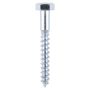 10mm x 120mm - Coach Screw Hexagon DIN 571 - BZP - Bag of 20