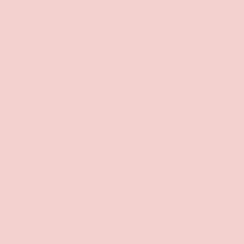 Acrylic Wall Panel - 1220mm x 2440mm x 4mm Blush