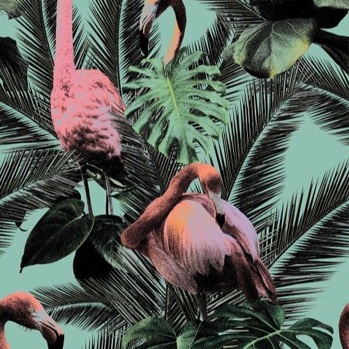 Acrylic Wall Panel - 896mm x 2400mm x 4mm Flamingo