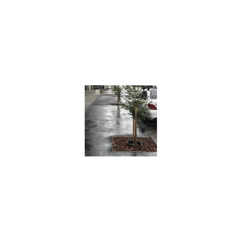 Terravault Root Protection System - 5 SQM Shallow Flat Packed