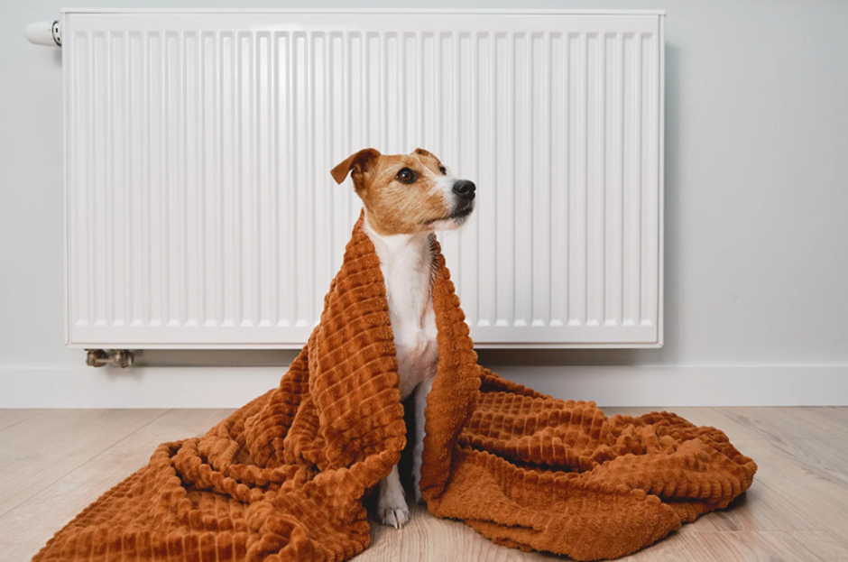 Pros and Cons of Radiators